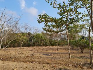 Foto 2 de lote en venta en san antero cordoba. Cod V12091