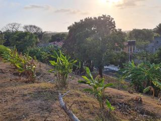 Foto 9 de lote en venta en san antero cordoba. Cod V12091