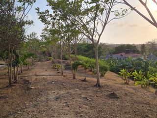 Foto 12 de lote en venta en san antero cordoba. Cod V12091