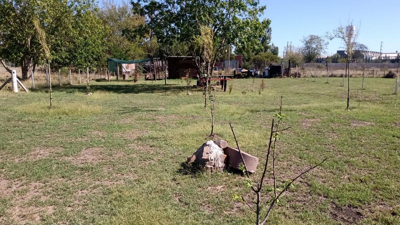 place photo 5