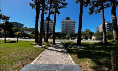 place photo 49