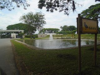 Foto 12 de casa campestre en arriendo en rozo. Cod A6772428
