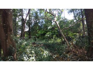 Foto 5 de EN VENTA IMPORTANTE TERRENO EN PUERTO IGUAZÚ