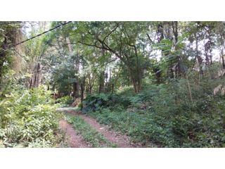 Foto 4 de EN VENTA IMPORTANTE TERRENO EN PUERTO IGUAZÚ