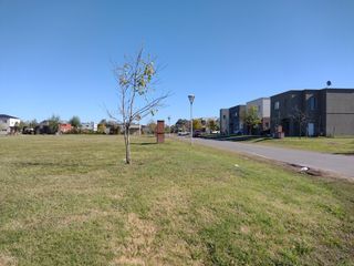 Foto 7 de El Aljibe, Manzanares