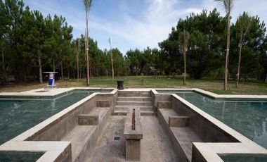 place photo 37