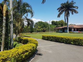 Foto 10 de finca en venta en rozo. Cod V14227
