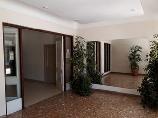 Foto 19 de Departamento de 3 Ambientes a La Calle con Patio en Miramar