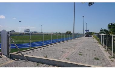 place photo 28