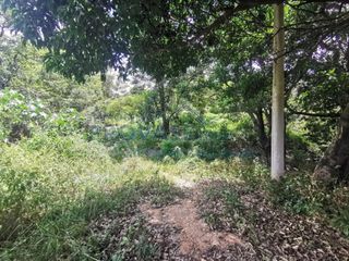 LOTE en VENTA en Cúcuta SANTANDER