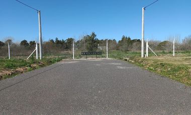 place photo 27