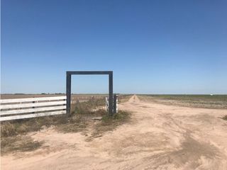 Foto 1 de VENTA- CAMPO 430 HAS.- BANDERA