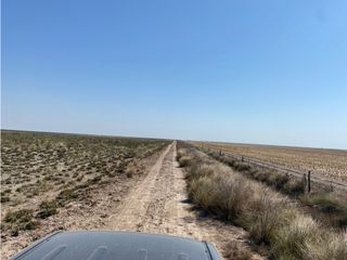 Foto 5 de VENTA- CAMPO 430 HAS.- BANDERA