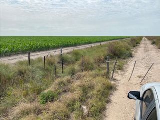 Foto 3 de VENTA- CAMPO 430 HAS.- BANDERA