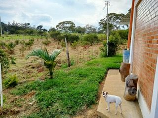 Foto 7 de CASALOTE en VENTA en Barbosa Barbosa