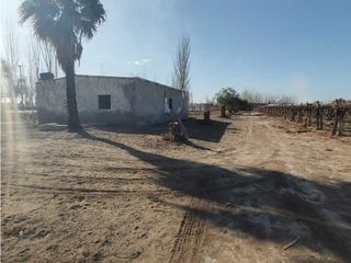 Foto 9 de VENTA DE EXCELENTE FINCA 8 HAS DE PARRAL, EN MUNDO NUEVO, JUNN- MZA.