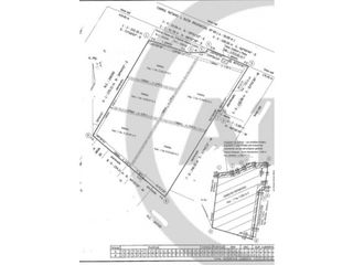 Foto 11 de VENTA DE EXCELENTE FINCA 8 HAS DE PARRAL, EN MUNDO NUEVO, JUNN- MZA.