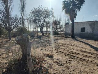 Foto 7 de VENTA DE EXCELENTE FINCA 8 HAS DE PARRAL, EN MUNDO NUEVO, JUNN- MZA.