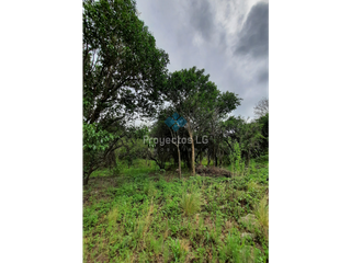 Foto 2 de ◇VENTA- LOTES DE 280 M2 Y 560 M2, VILLA ANIMI, LA GRANJA ◇