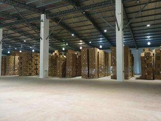 Foto 2 de ARRIENDO GALPON 3363M2 NORTE DE QUITO.
