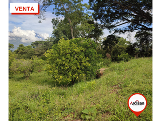 Foto 4 de #VENTA PARCELA PLANA DE 1 HÉCTAREA CON CASA AMPLIA