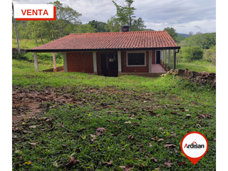 Foto 3 de #VENTA PARCELA PLANA DE 1 HÉCTAREA CON CASA AMPLIA