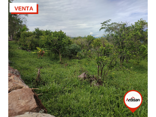 Foto 5 de #VENTA PARCELA PLANA DE 1 HÉCTAREA CON CASA AMPLIA