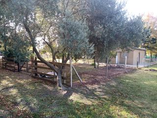 Casa venta - 2 dormitorios 1 baño - 308mts2 totales - Barrio Gambier