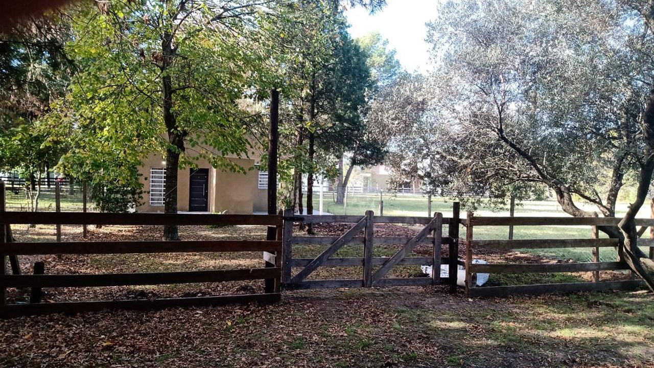 place photo 20