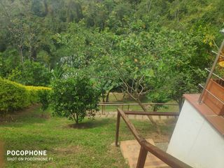 Foto 5 de vendo casa campestre