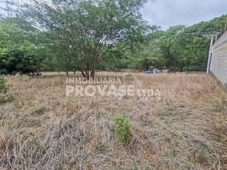 LOTE en VENTA en Cúcuta Bocono, Tamacoa Campestre