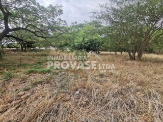 LOTE en VENTA en Cúcuta Bocono, Tamacoa Campestre