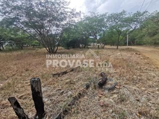 LOTE en VENTA en Cúcuta Bocono, Tamacoa Campestre