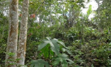 place photo