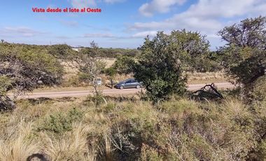 place photo 14