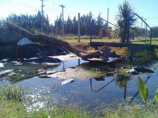 Foto 6 de HERMOSA CASA QUINTA EN VENTA CERCA DEL RIO DE LA PLATA, ACEPTA PERMUTA, AV SAN MARTIN 100 -PUNTA INDIO-