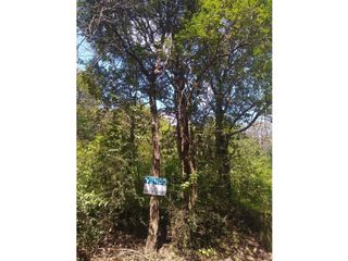 Foto 10 de VENTA-GRAN LOTE EN RIO CEBALLOS-2.6 HAS.