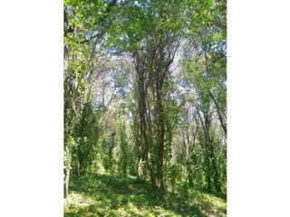 Foto 1 de VENTA-GRAN LOTE EN RIO CEBALLOS-2.6 HAS.