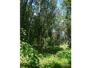 Foto 4 de VENTA-GRAN LOTE EN RIO CEBALLOS-2.6 HAS.