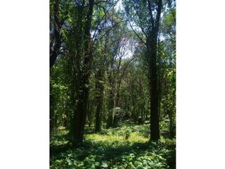 Foto 2 de VENTA-GRAN LOTE EN RIO CEBALLOS-2.6 HAS.
