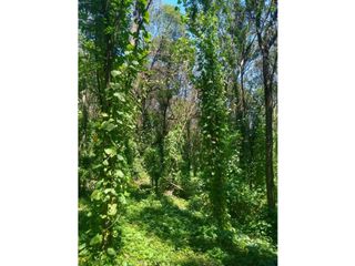 Foto 3 de VENTA-GRAN LOTE EN RIO CEBALLOS-2.6 HAS.