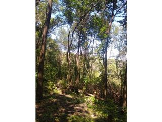 Foto 6 de VENTA-GRAN LOTE EN RIO CEBALLOS-2.6 HAS.