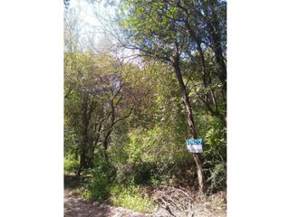 Foto 7 de VENTA-GRAN LOTE EN RIO CEBALLOS-2.6 HAS.