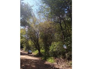 Foto 8 de VENTA-GRAN LOTE EN RIO CEBALLOS-2.6 HAS.