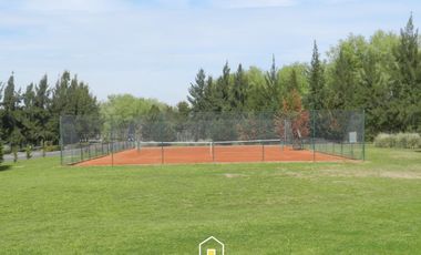 place photo 38