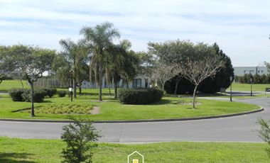 place photo 40