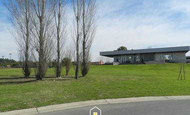 place photo 37