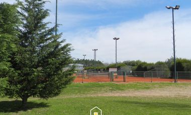 place photo 44