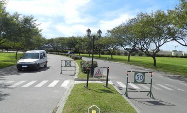place photo 47