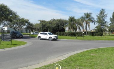 place photo 41